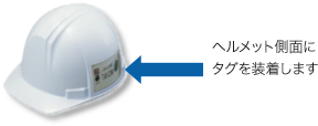 システムメイン画面（リアルタイム表示）